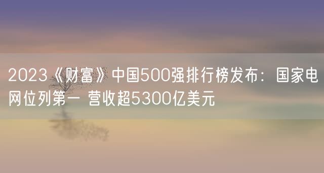 2023《财富》中国500强排行榜发布：国家电网位列第一 营收超5300亿美元
