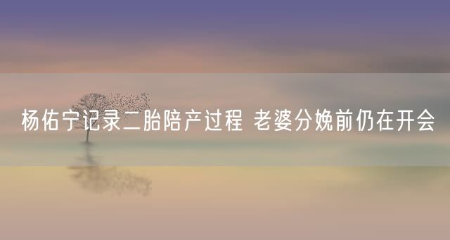 杨佑宁记录二胎陪产过程 老婆分娩前仍在开会