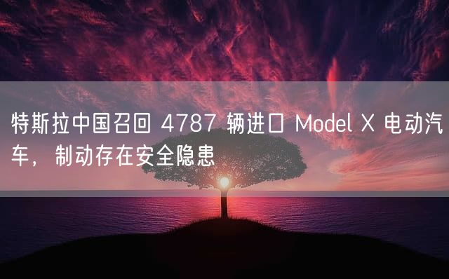 特斯拉中国召回 4787 辆进口 Model X 电动汽车，制动存在安全隐患